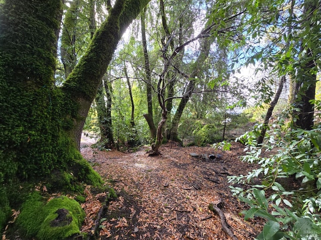 32120 Shimmins Ridge Rd, Willits, CA 95490