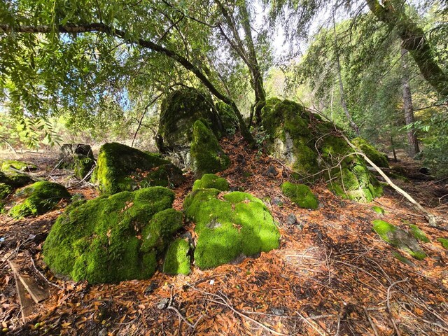 32120 Shimmins Ridge Rd, Willits, CA 95490