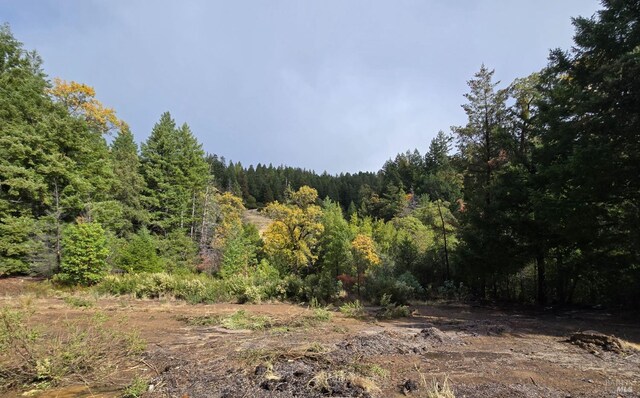 32120 Shimmins Ridge Rd, Willits, CA 95490