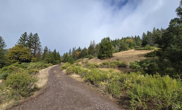 32120 Shimmins Ridge Rd, Willits, CA 95490