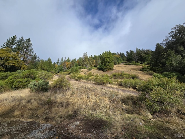 32120 Shimmins Ridge Rd, Willits, CA 95490