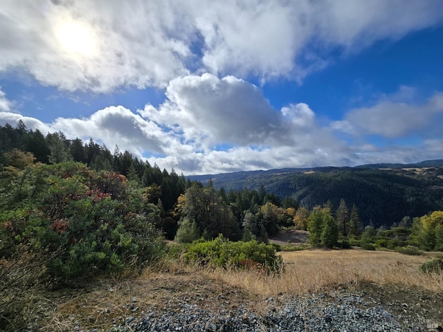 32120 Shimmins Ridge Rd, Willits, CA 95490