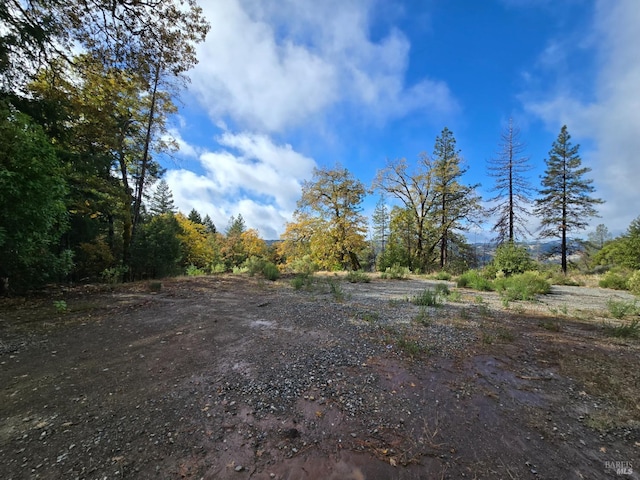32120 Shimmins Ridge Rd, Willits, CA 95490