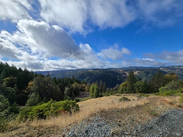 32120 Shimmins Ridge Rd, Willits, CA 95490