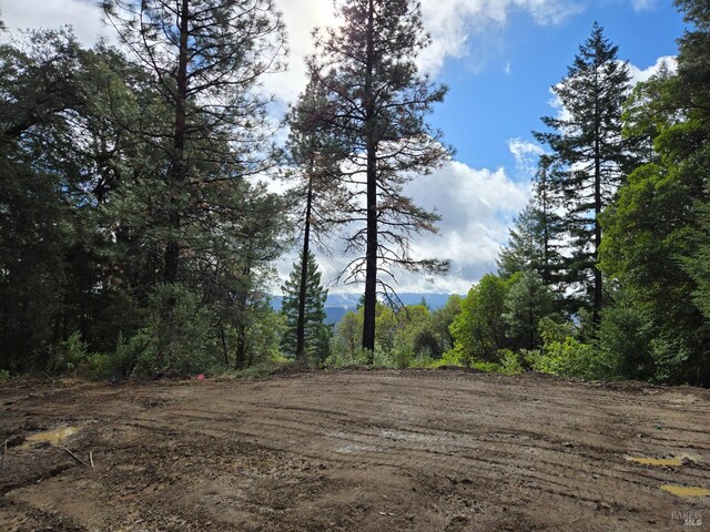 32120 Shimmins Ridge Rd, Willits, CA 95490