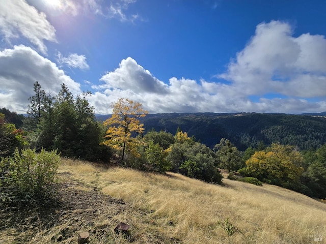 32120 Shimmins Ridge Rd, Willits, CA 95490