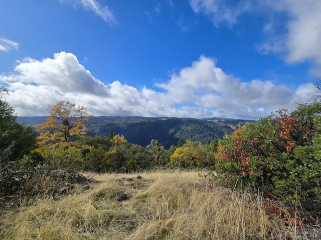 32120 Shimmins Ridge Rd, Willits, CA 95490