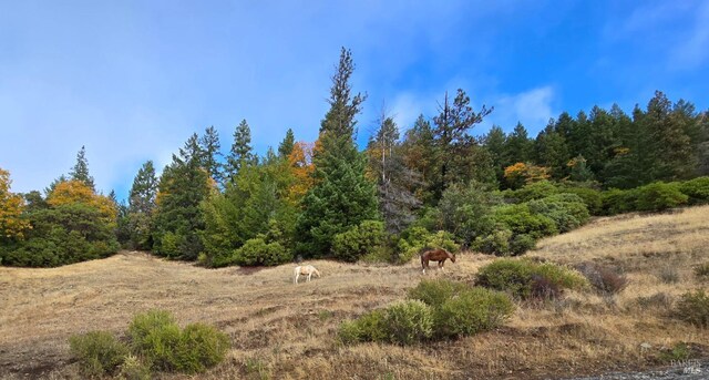 32120 Shimmins Ridge Rd, Willits, CA 95490