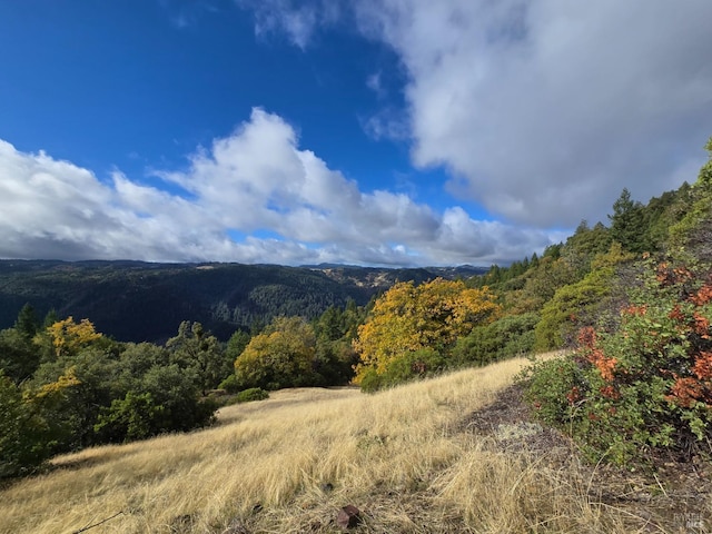 32120 Shimmins Ridge Rd, Willits, CA 95490