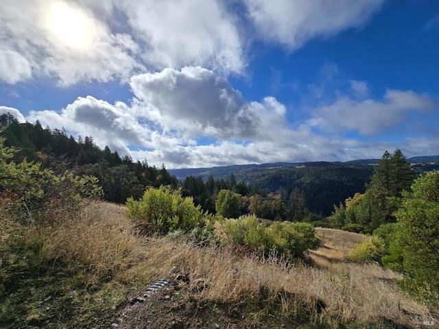 32120 Shimmins Ridge Rd, Willits, CA 95490