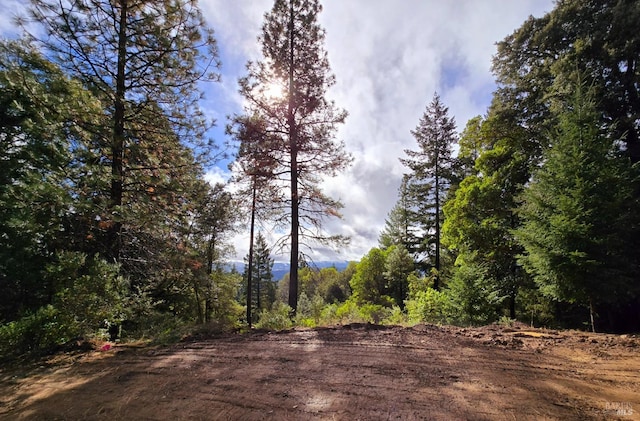 32120 Shimmins Ridge Rd, Willits, CA 95490