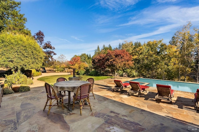 view of swimming pool featuring a patio