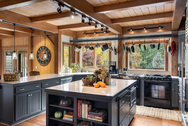 kitchen featuring black stove, rail lighting, a kitchen island, and a wealth of natural light