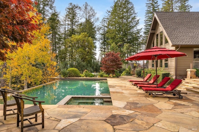 view of swimming pool featuring an in ground hot tub and a patio