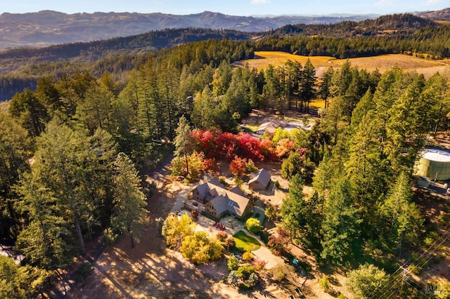 birds eye view of property featuring a mountain view