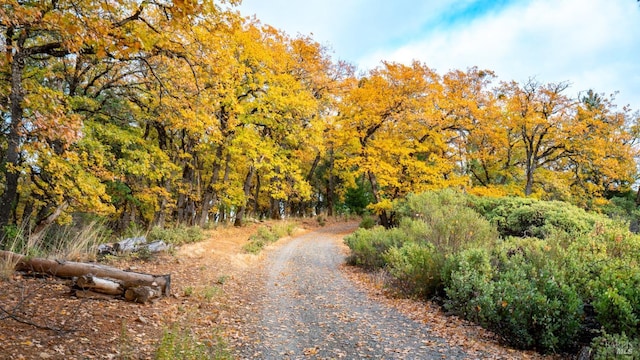 view of road