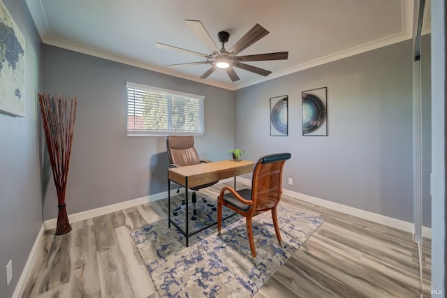 office featuring light hardwood / wood-style floors, ceiling fan, and ornamental molding