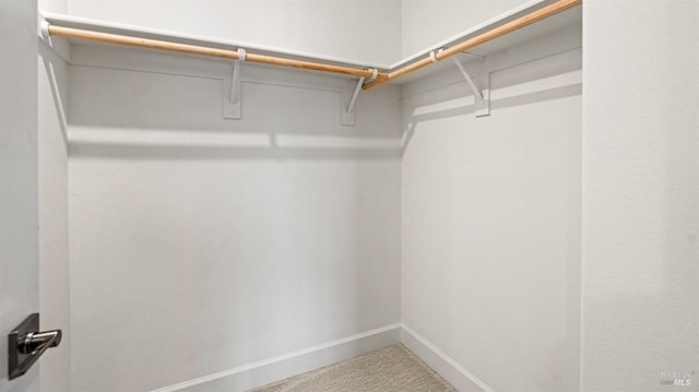 spacious closet featuring carpet