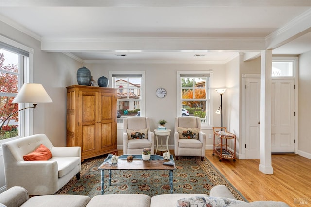 living room featuring light hardwood / wood-style floors, crown molding, and a healthy amount of sunlight