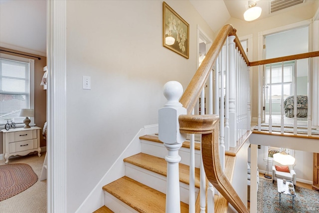 stairway featuring carpet floors