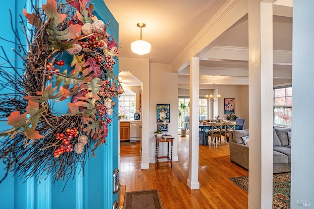 foyer featuring hardwood / wood-style flooring, plenty of natural light, ornamental molding, and an inviting chandelier