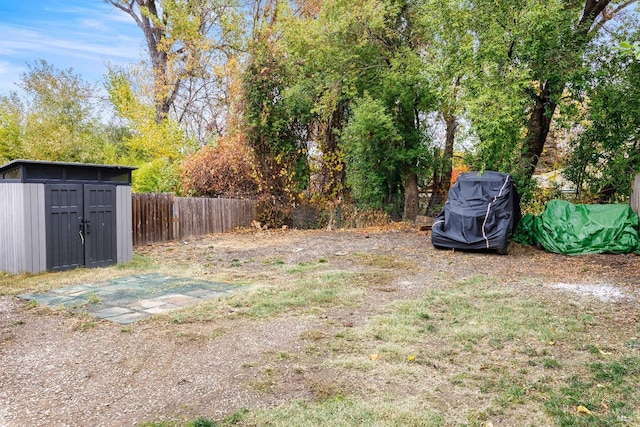 view of yard with a storage shed