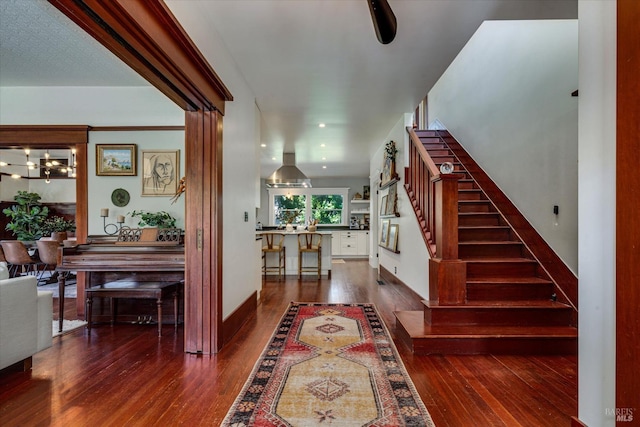 foyer featuring dark wood-type flooring