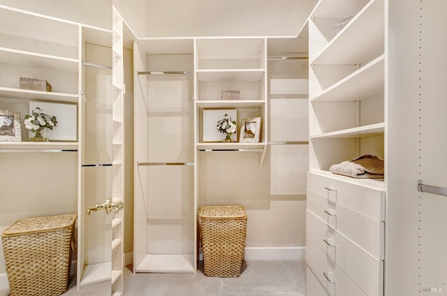 view of spacious closet