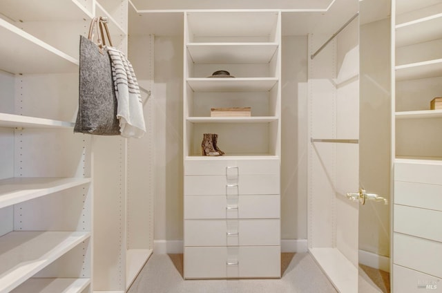 walk in closet with light colored carpet