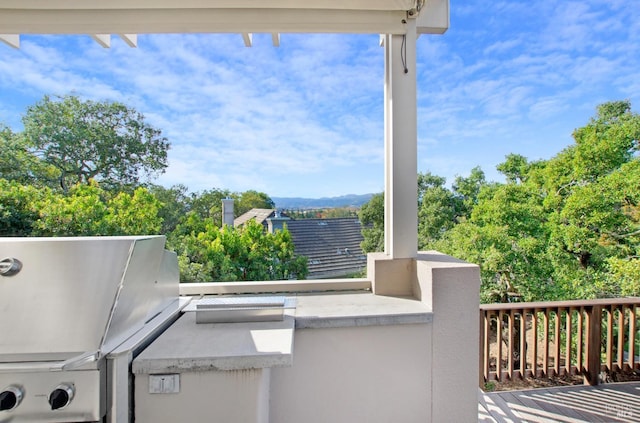 view of patio / terrace featuring area for grilling