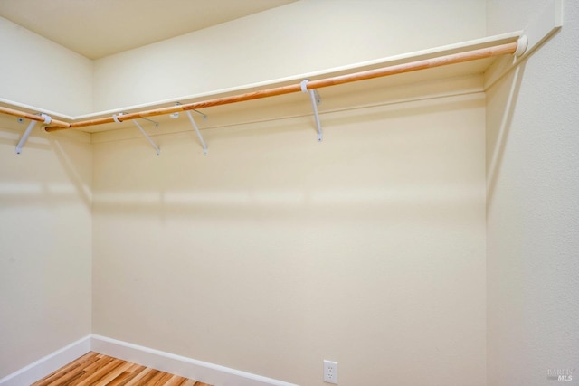 spacious closet with hardwood / wood-style flooring