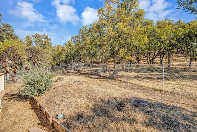 view of yard featuring a rural view