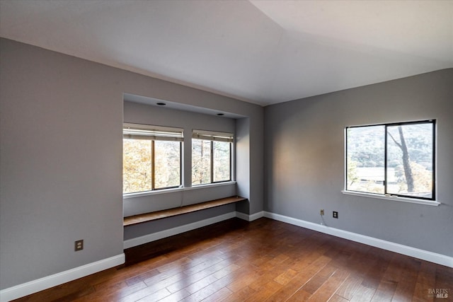 spare room featuring dark wood-type flooring