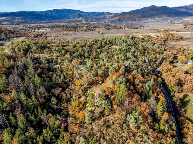 property view of mountains