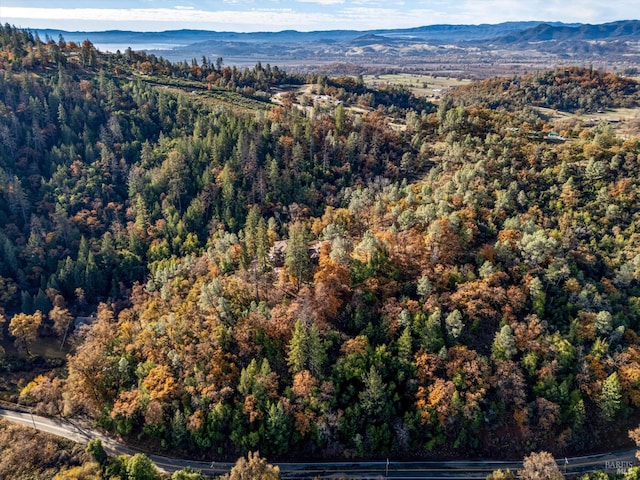 aerial view with a mountain view