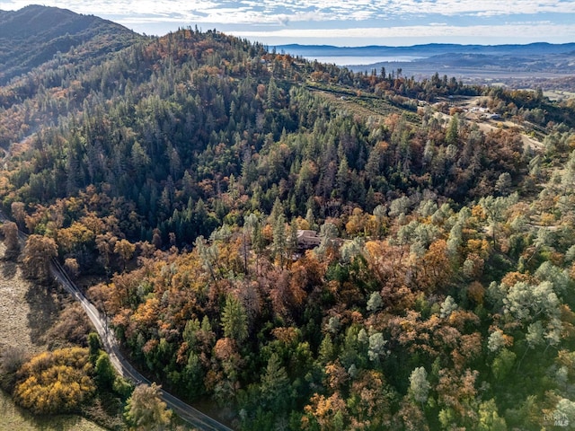 view of mountain feature