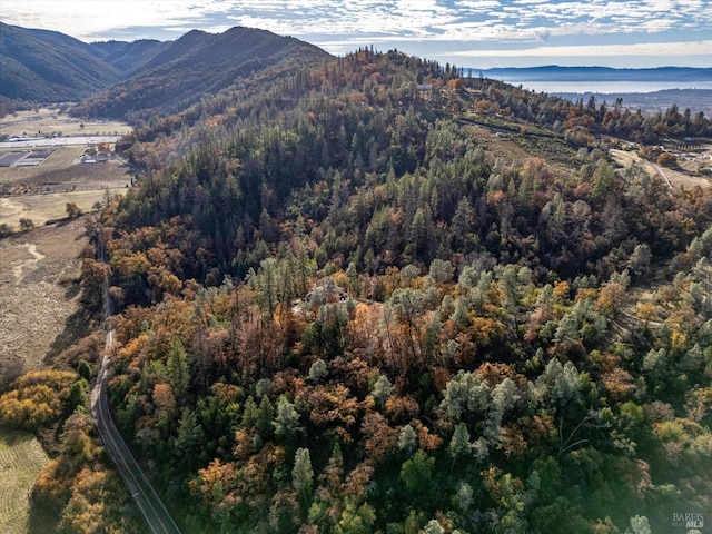 property view of mountains