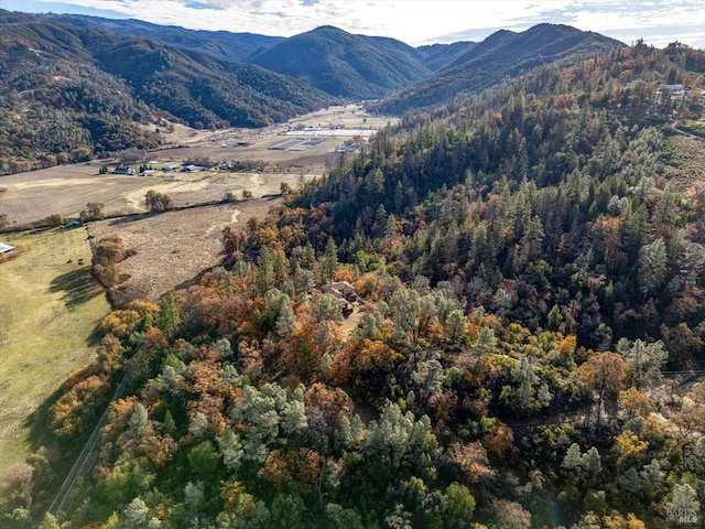 view of mountain feature