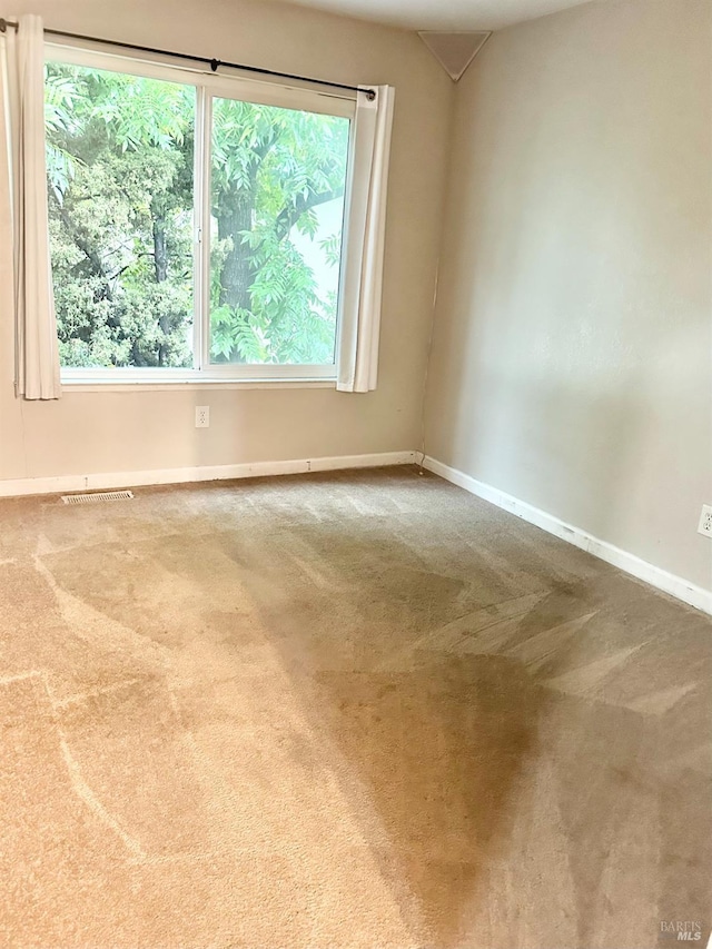 carpeted empty room featuring a healthy amount of sunlight