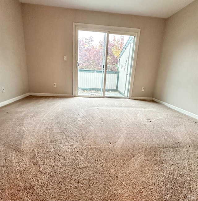 spare room featuring carpet flooring