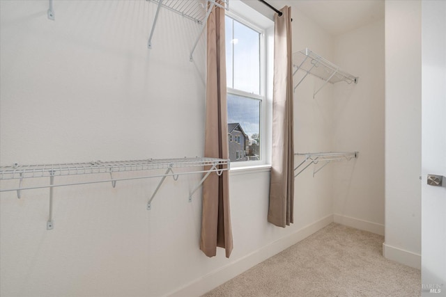 walk in closet featuring light carpet