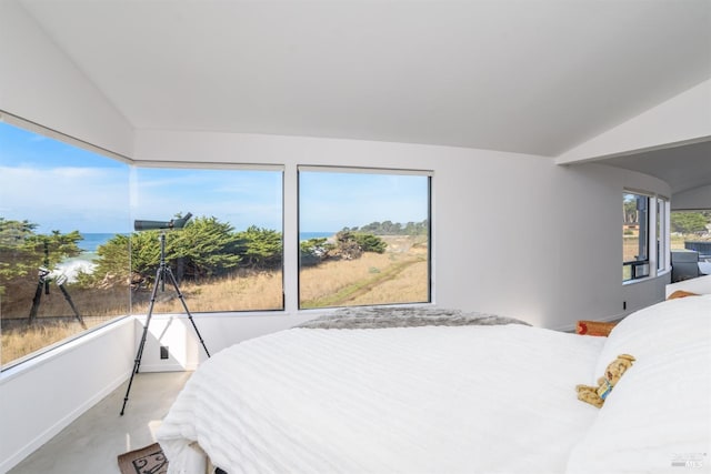 carpeted bedroom with a water view and lofted ceiling