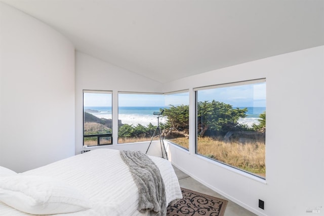 bedroom with a water view and vaulted ceiling