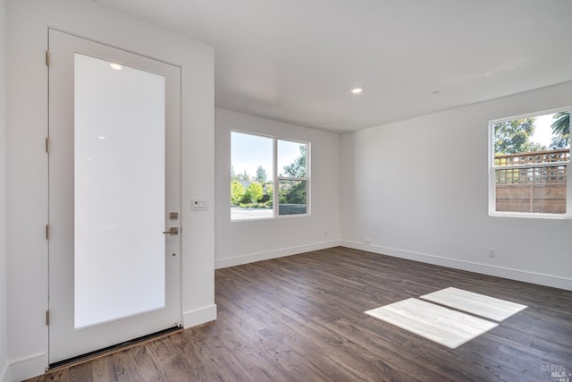 foyer with dark wood-type flooring