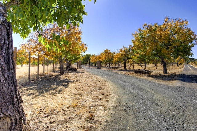 view of road featuring a rural view