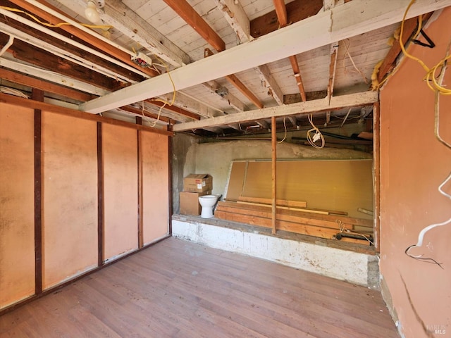 basement featuring light hardwood / wood-style floors