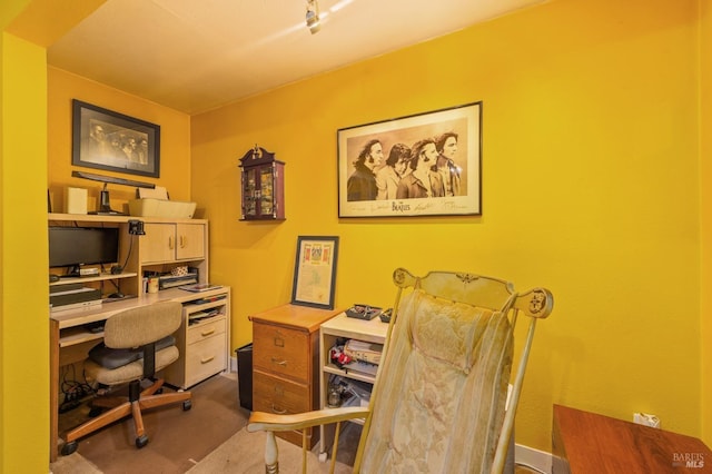 office featuring carpet floors