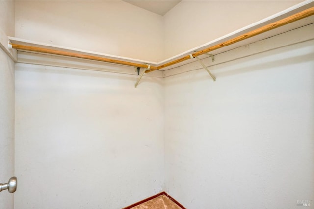 19207 Ravenhill Rd, Hidden Valley Lake, CA 95467 - view of spacious closet