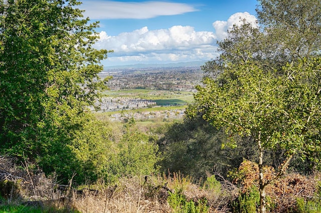 view of nature