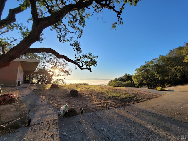 view of yard at dusk